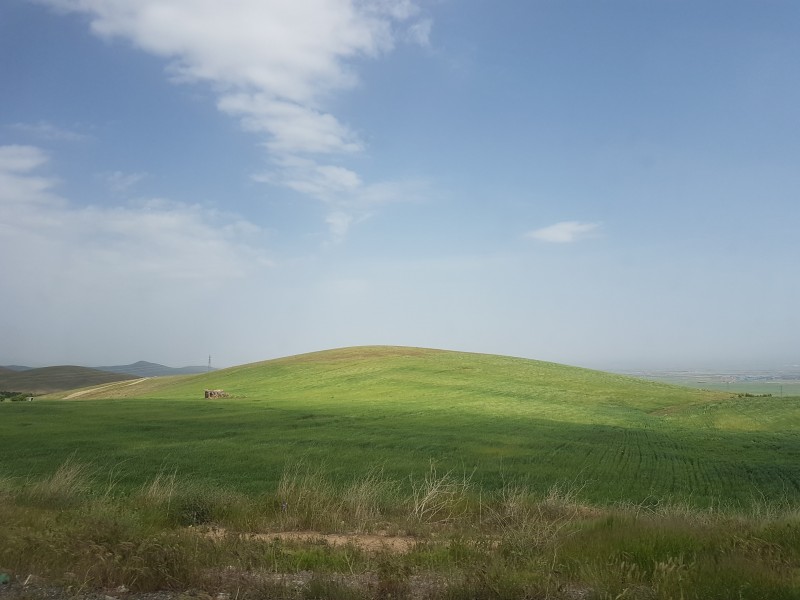 平坦的绿色草地图片