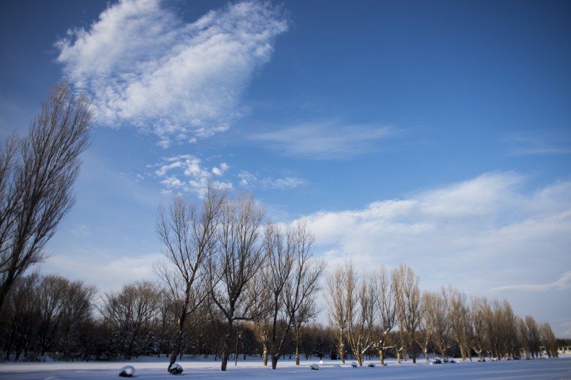 美麗的雪景圖片