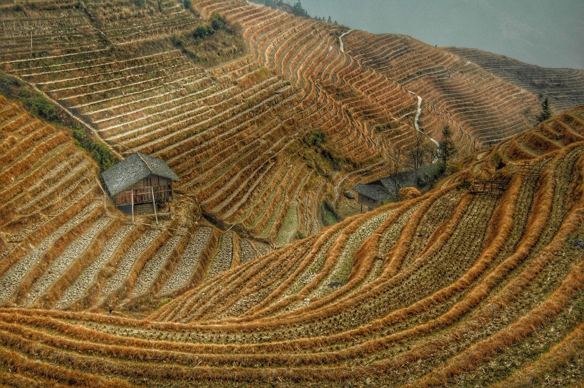 广阔唯美的梯田风景图片