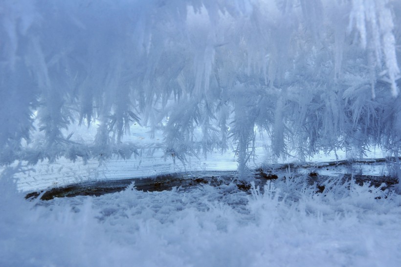 白色冰雪世界风景图片