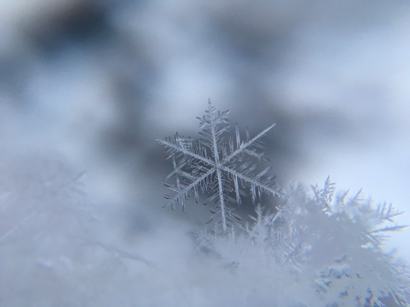 晶莹剔透的雪花图片