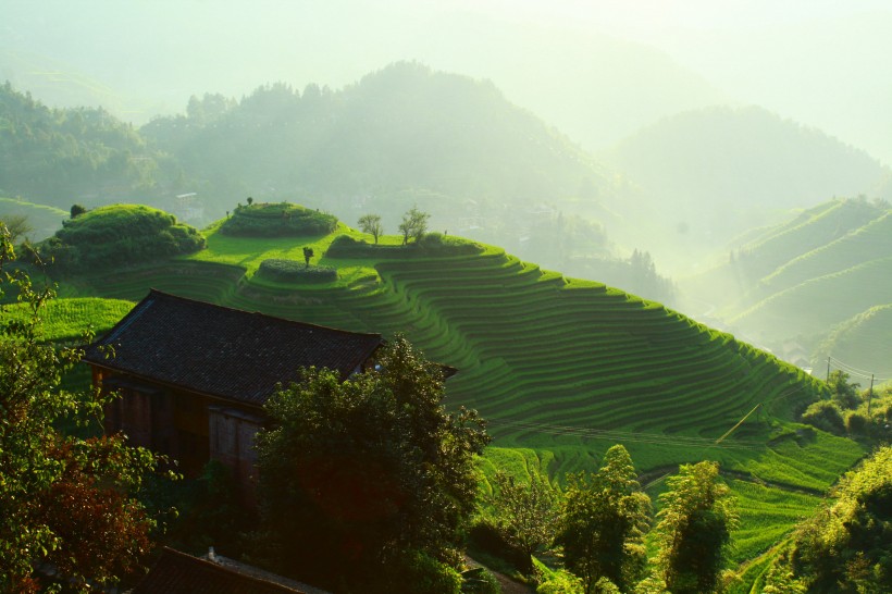 广阔唯美的梯田风景图片