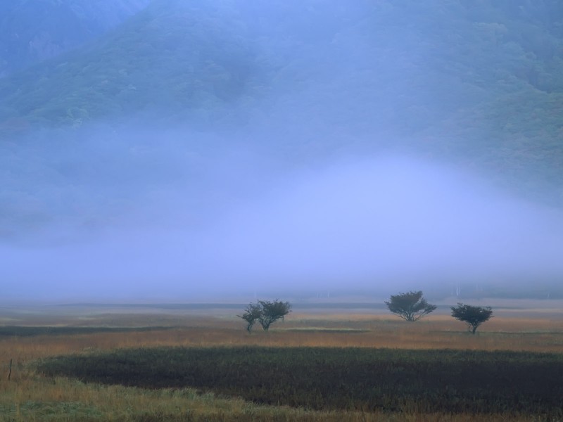 云雾缭绕自然风景图片