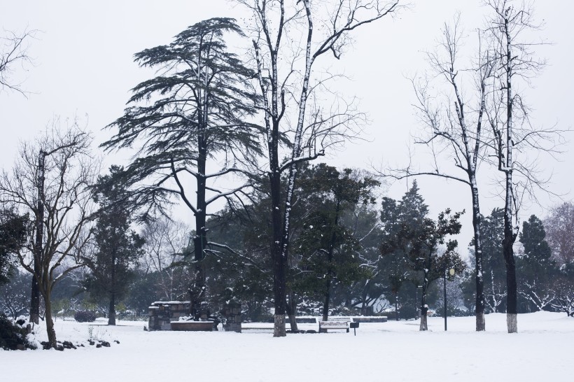 寒冷冬季雪景图片