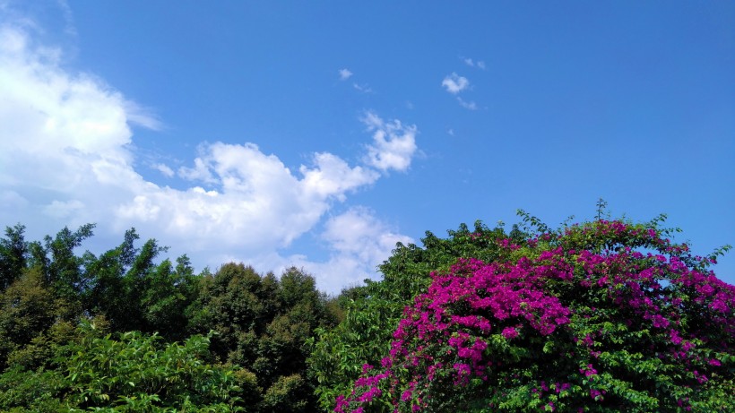 白云蓝天风景图片