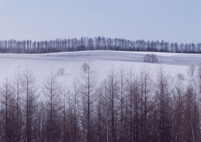 冬天的风景