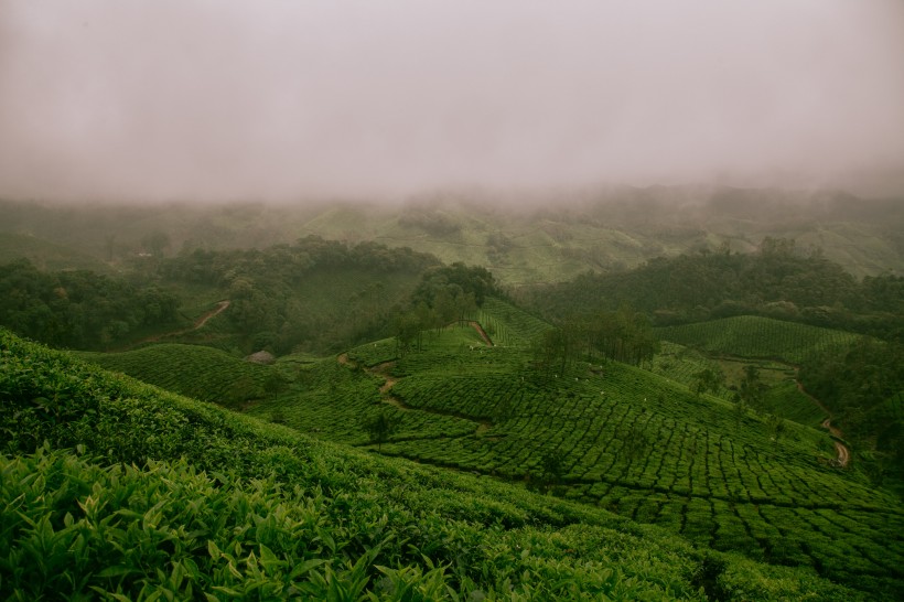 山間薄霧風(fēng)景圖片