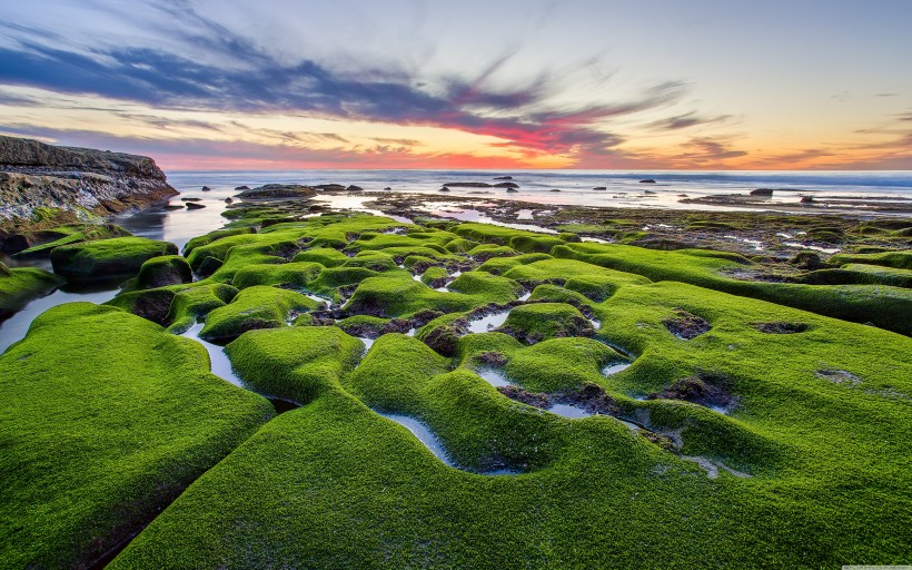 美丽的夕阳海景图片