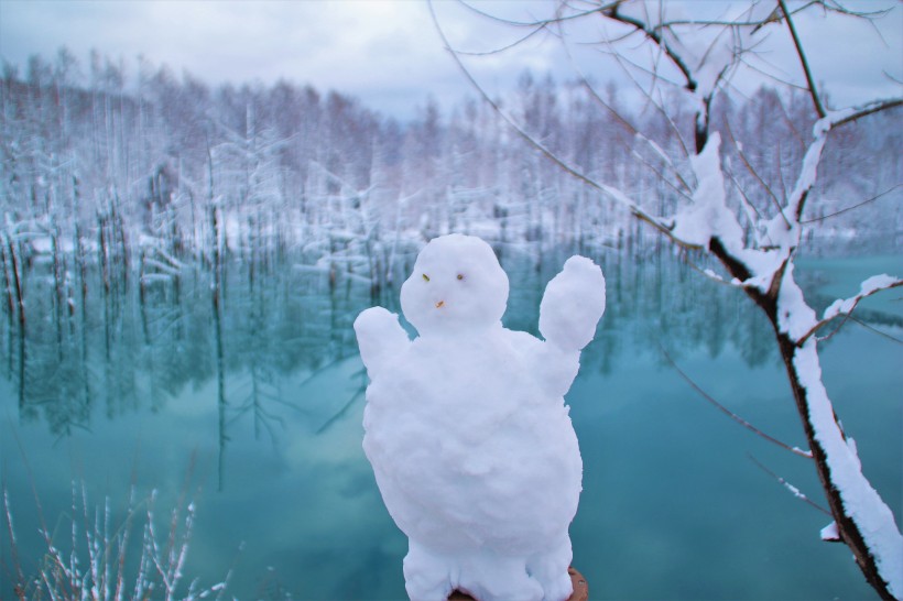 冬季造型獨(dú)特的雪人圖片