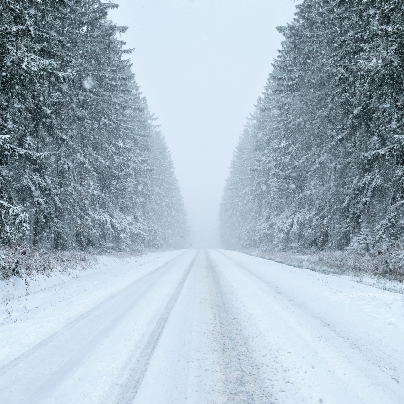 雪天道路两旁风景图片