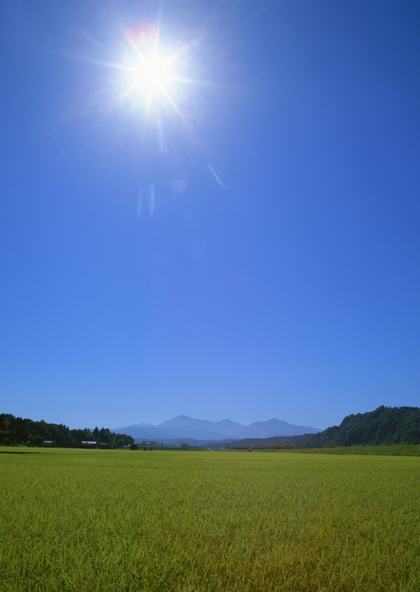 春天的田野圖片