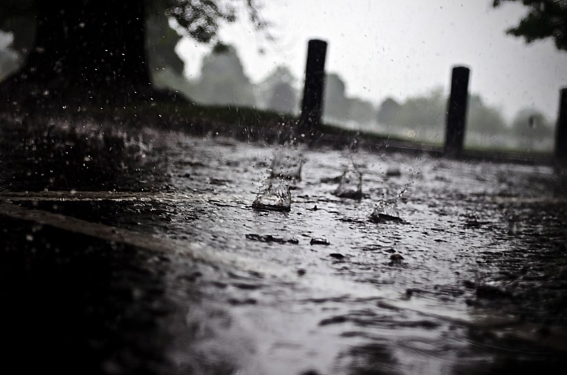 唯美的雨圖片