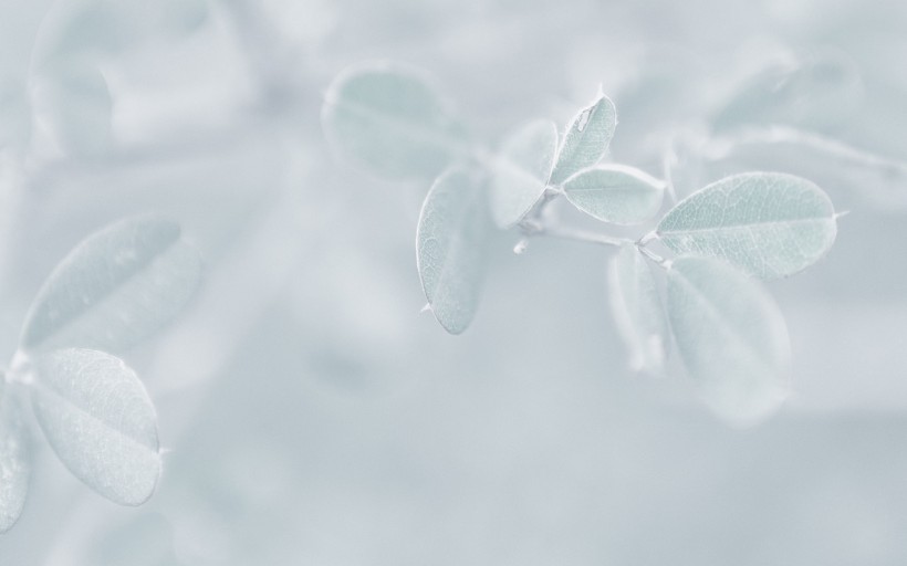 冬日唯美雪景图片