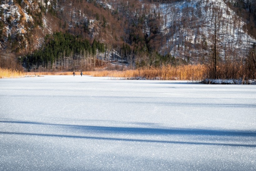 冬季的雪原图片