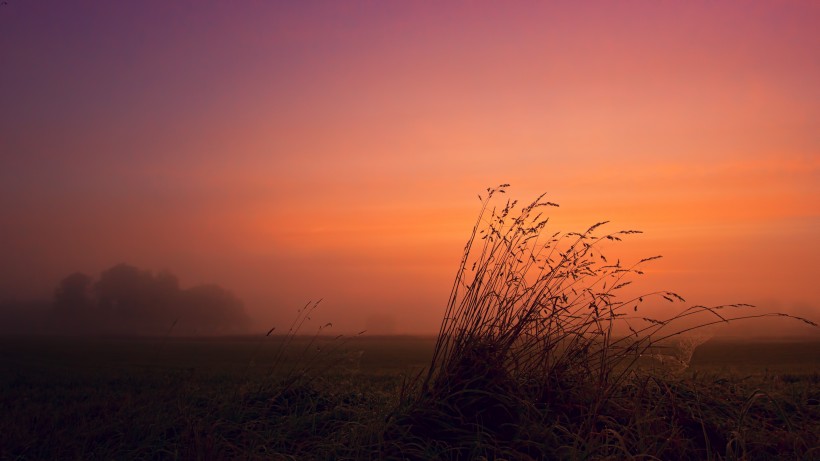 夕陽(yáng)霧景圖片