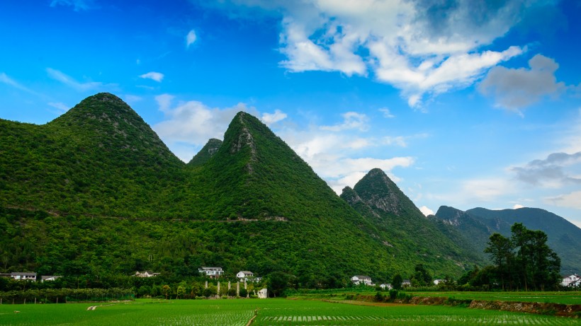 田园风景图片