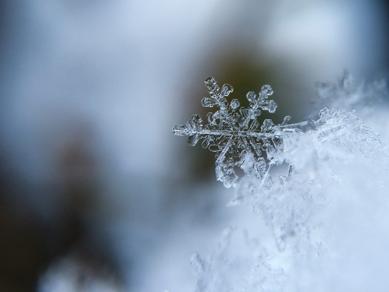 晶莹的雪花图片