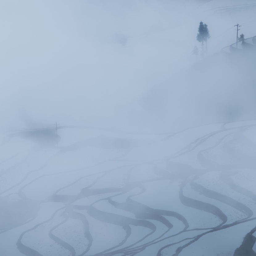 壯觀的梯田風(fēng)光圖片