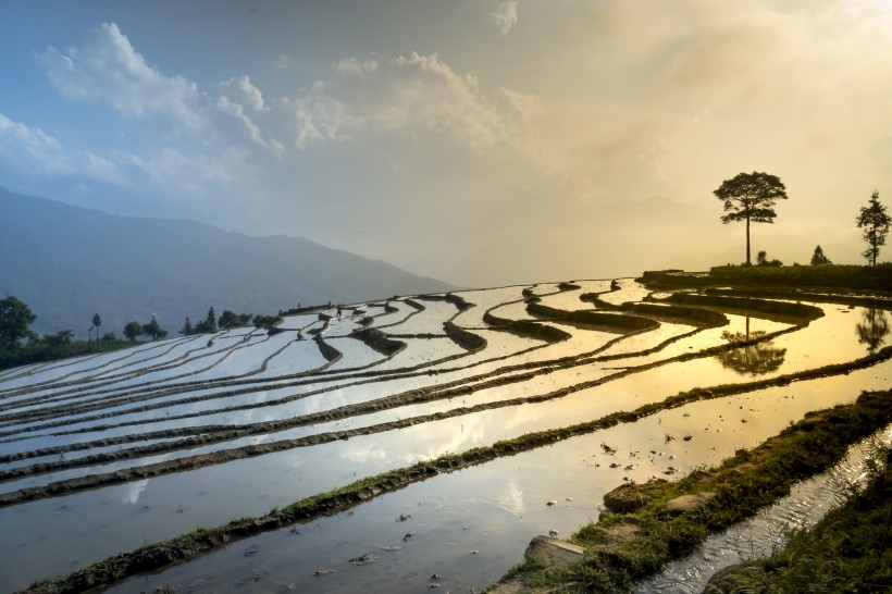 層疊的鄉(xiāng)村梯田風景圖片