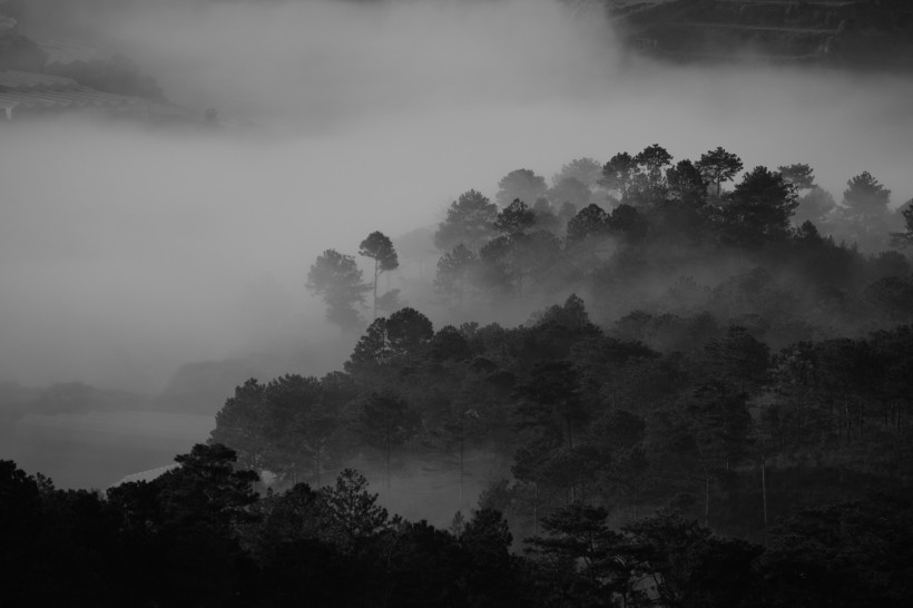 煙霧繚繞的山林圖片