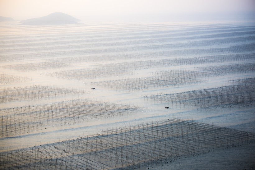 海边滩涂风景图片