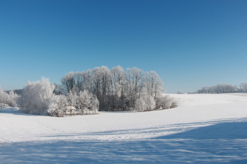 冬天唯美的雪景图片