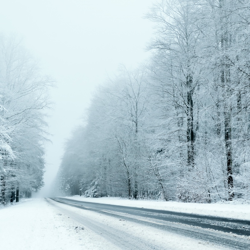 雪天道路两旁风景图片