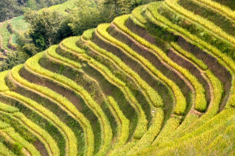 廣闊唯美的梯田風(fēng)景圖片