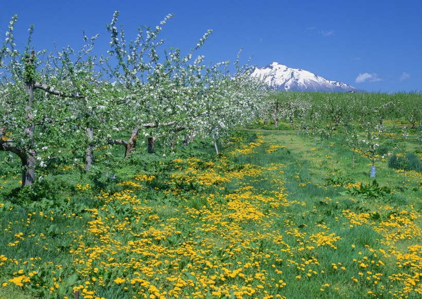 藍天和湖水圖片