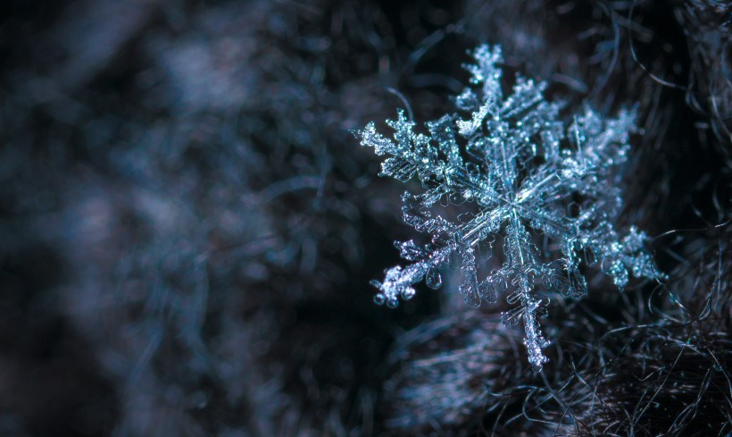 顯微鏡拍攝的雪花圖片