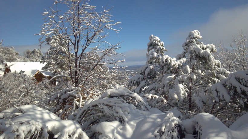 唯美白色雪景圖片