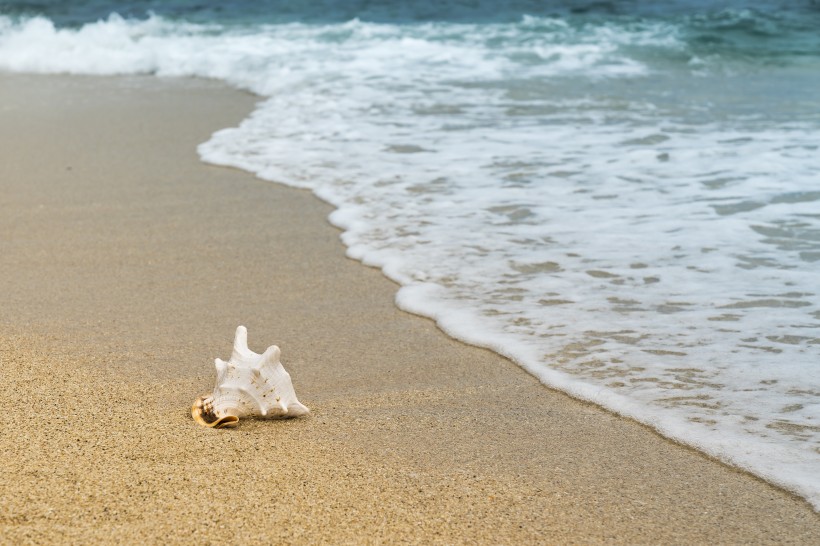 波涛涌汹的海浪风景图片