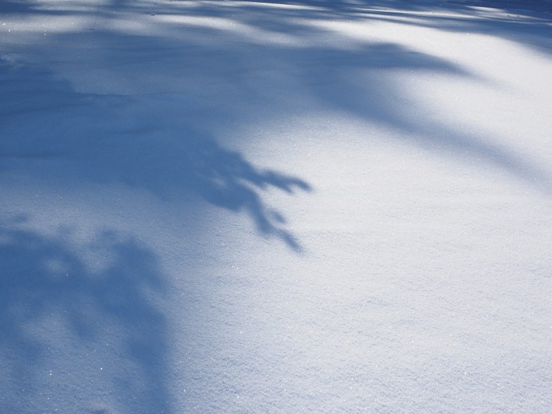 唯美白色雪景圖片