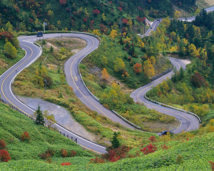 秋季马路图片