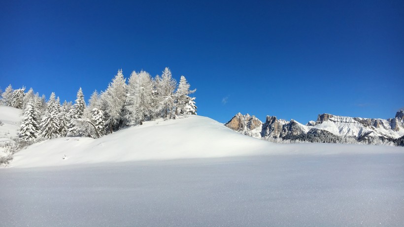 白茫茫的雪景圖片