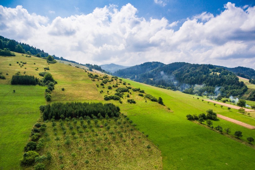 绿色草地风景图片