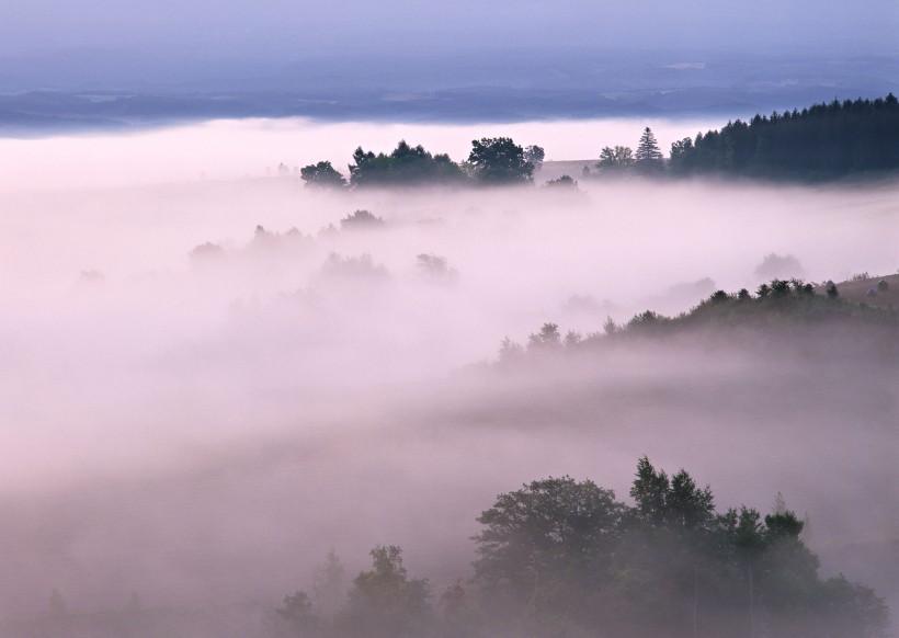 夕陽迷霧風(fēng)景圖片