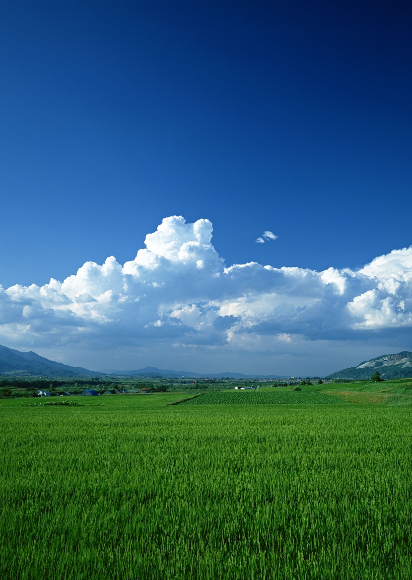 蓝天白云田地图片