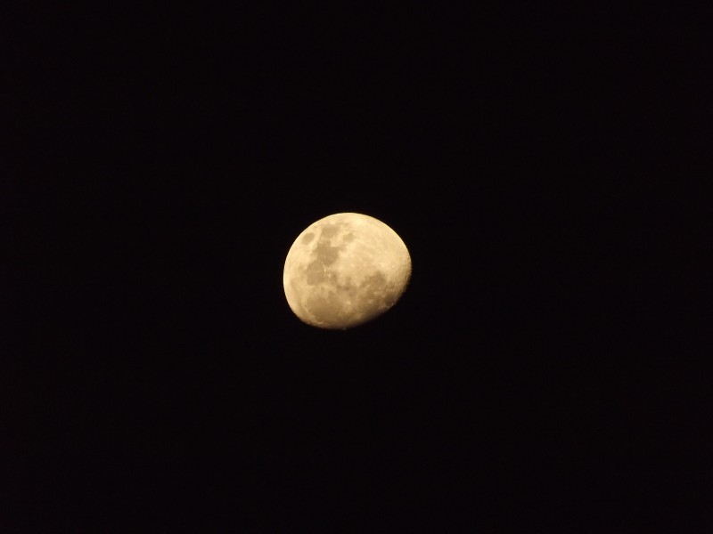 朦胧的月亮图片