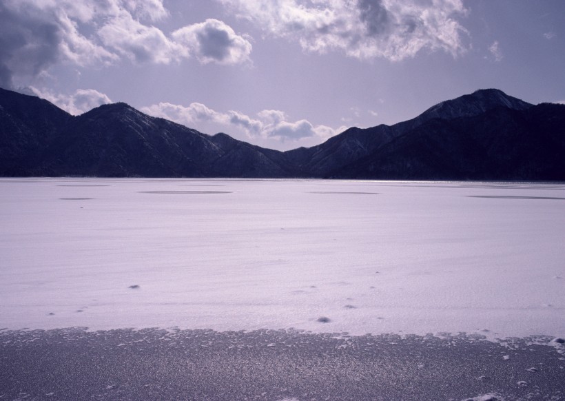 冬季树木河流风景图片