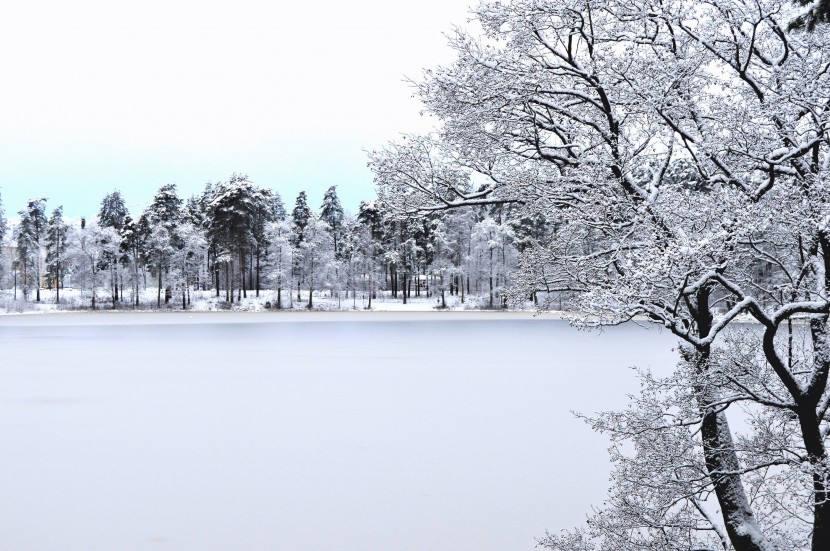 白雪皑皑的世界图片