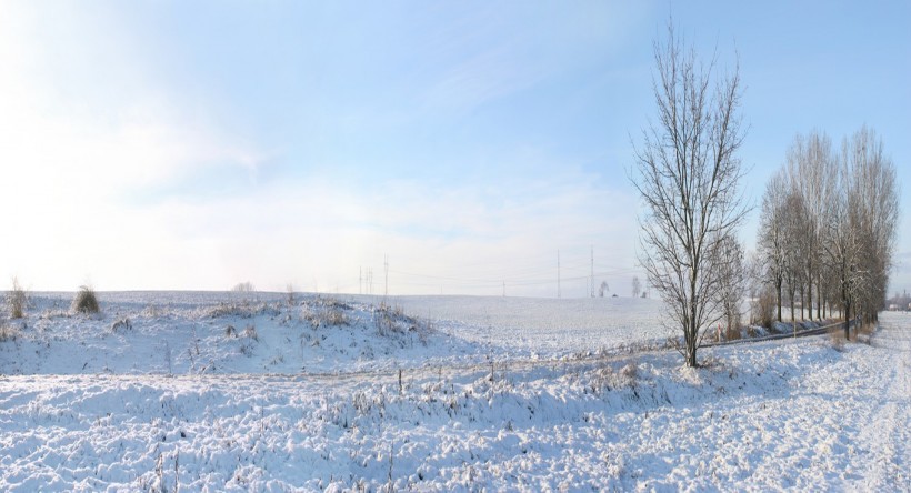 冬日雪景图片