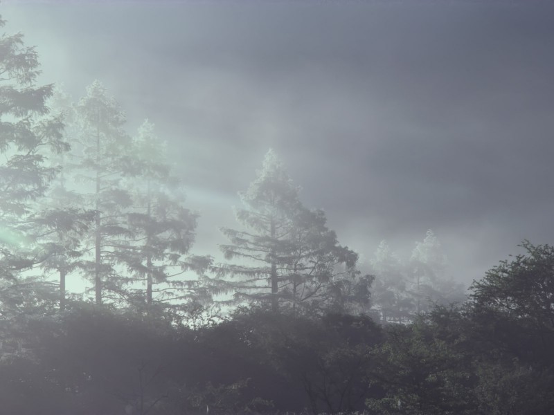 云雾缭绕自然风景图片