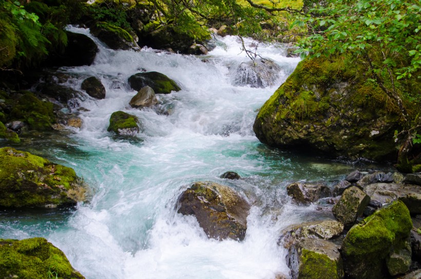 森林小溪山間流水圖片