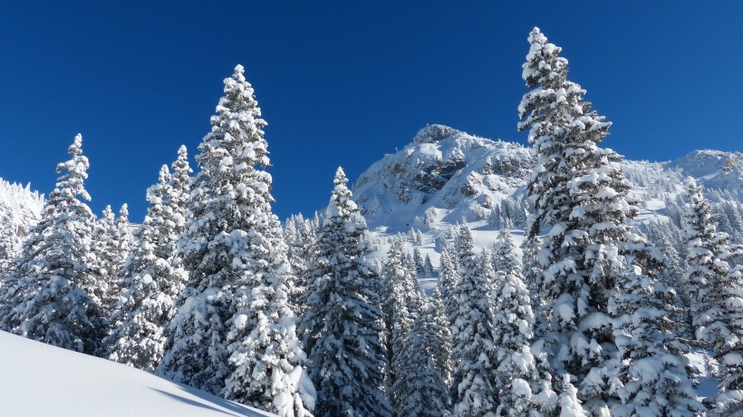 山上的雪景圖片