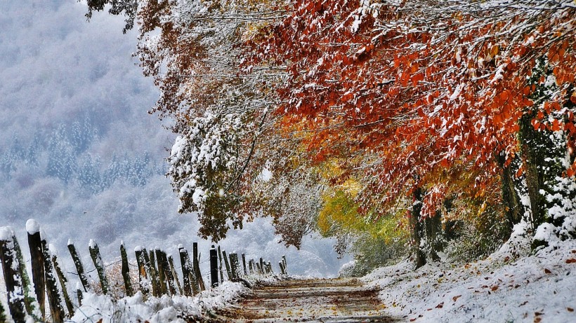 初雪唯美风景图片