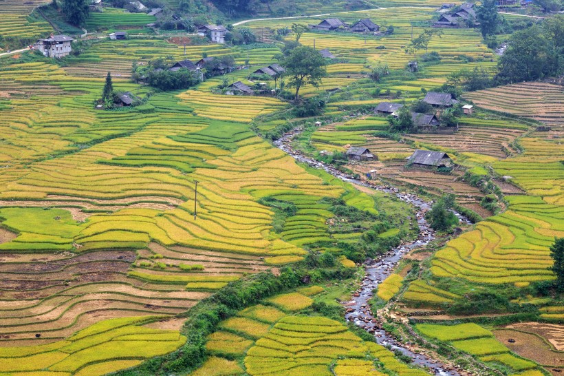 秋季乡村梯田风景图片