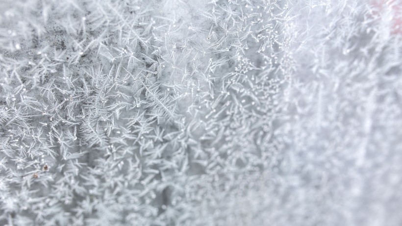 冬季雪后冰花風(fēng)景圖片