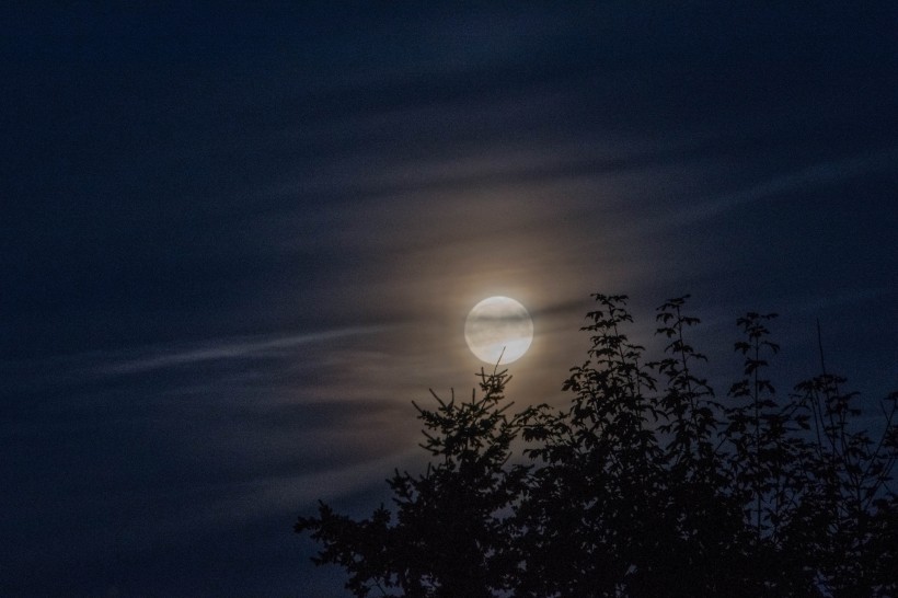 夜空中唯美的月亮图片