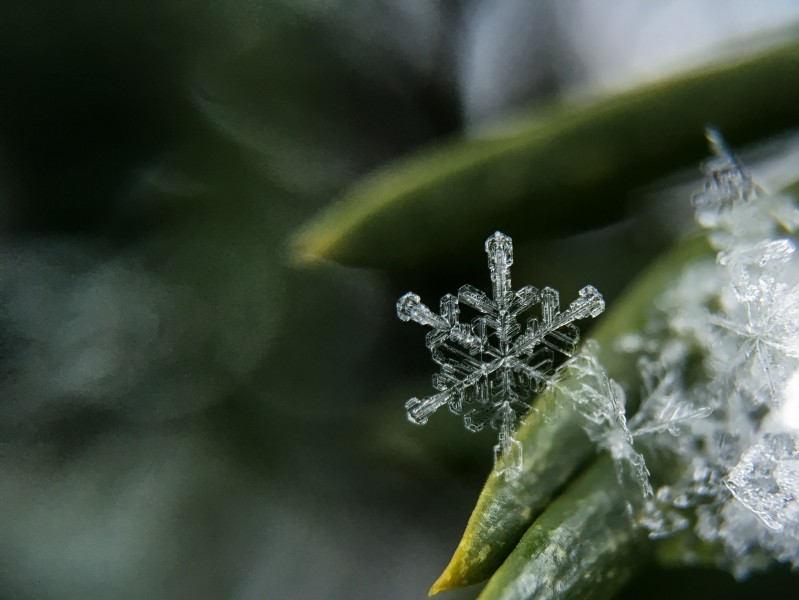 晶莹剔透的雪花图片